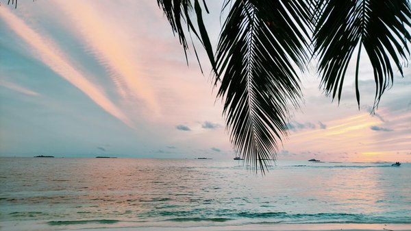 Top tendances 2024 : locations de vacances prisées en france